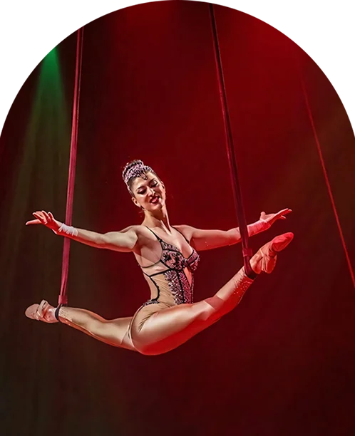 Aerial performer